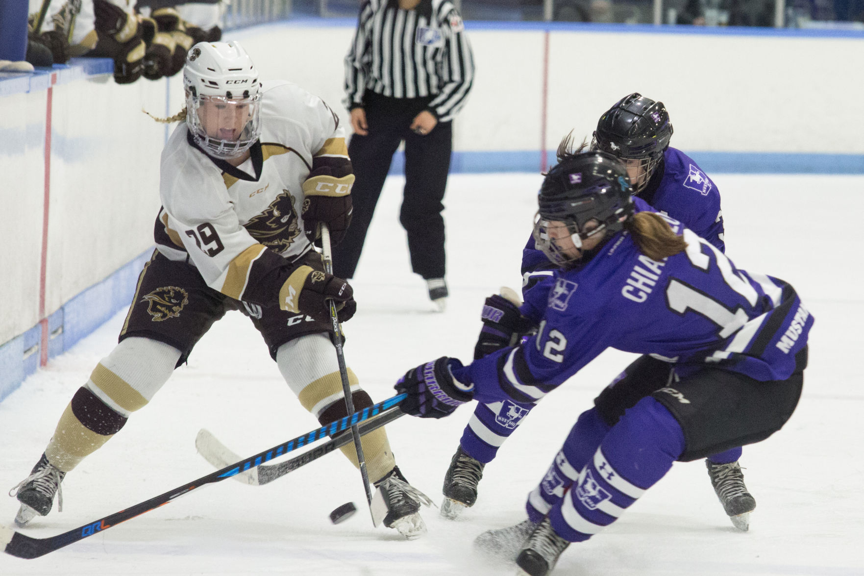 Mustangs vs Manitoba U Sports championship